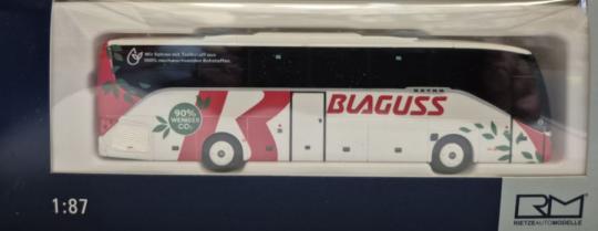 Rietze Reisebus Setra S 515 HD Blaguss (AT) 77928 